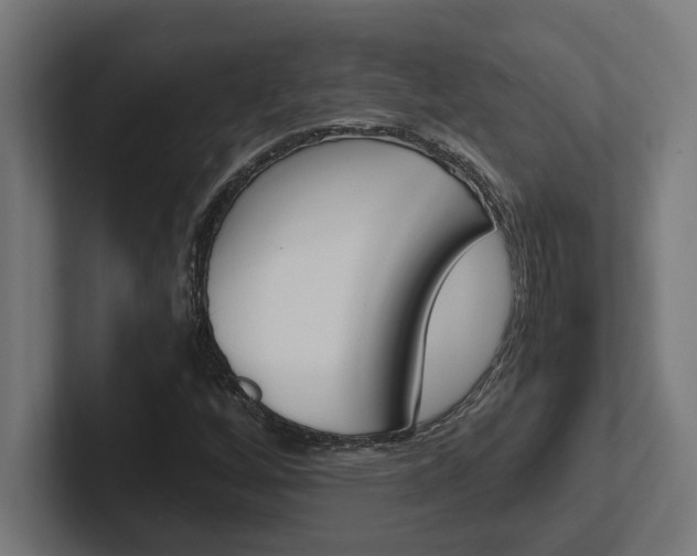 X0000102391256200808010927