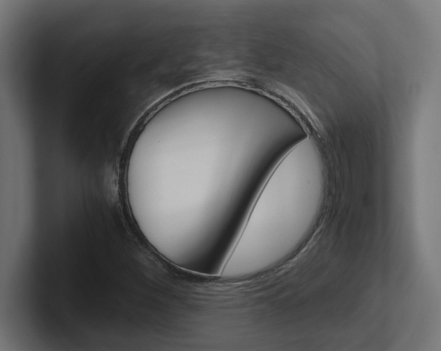 X0000102391260200808010927