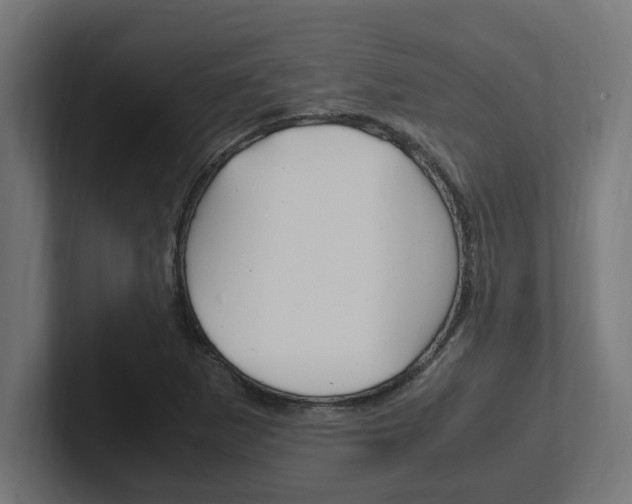 X0000102391265200808010927