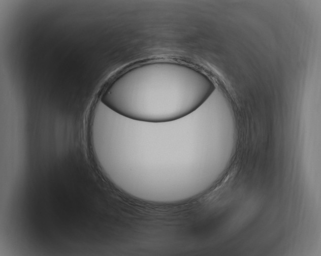 X0000102391267200808010927