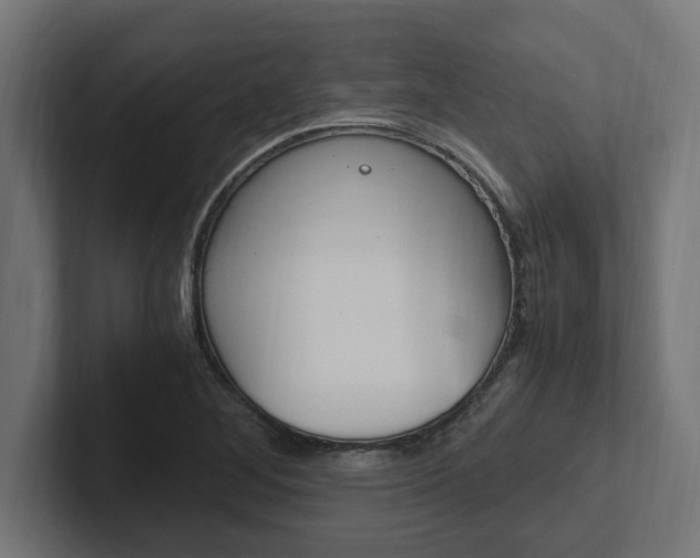 X0000102391268200808010927