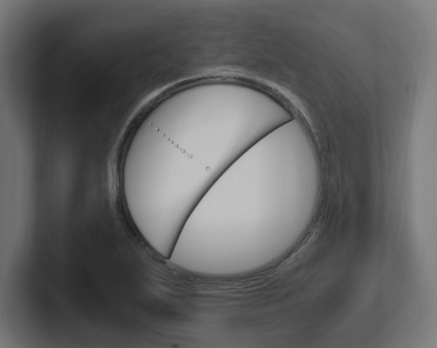 X0000102391271200808010927