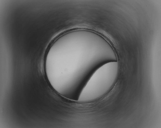 X0000102391272200808010927