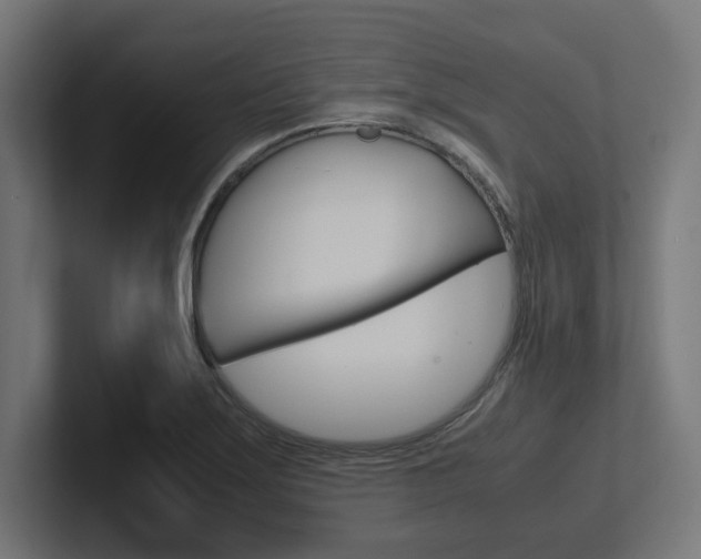 X0000102391275200808010927