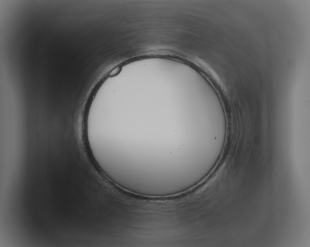 X0000102391277200808010927