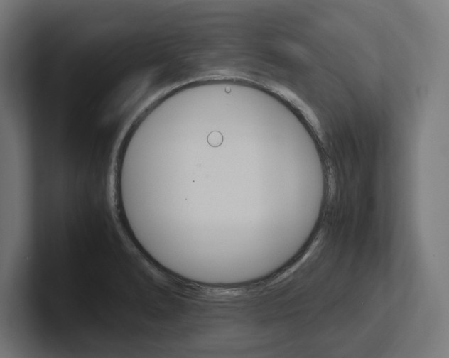 X0000102391278200808010927