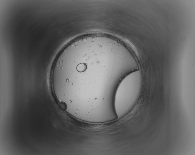 X0000102391279200808010927