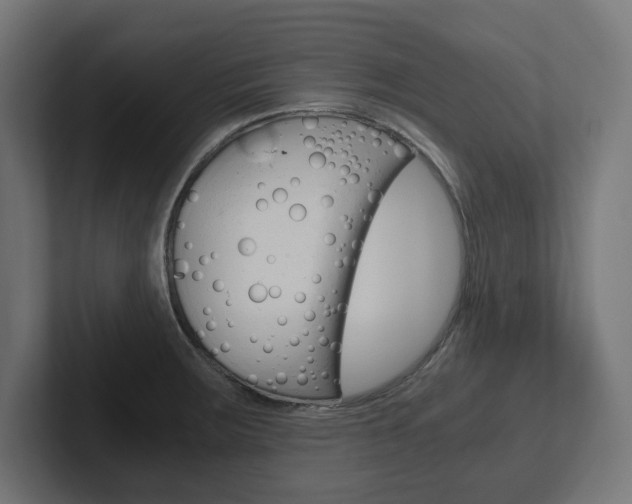 X0000102391283200808010927