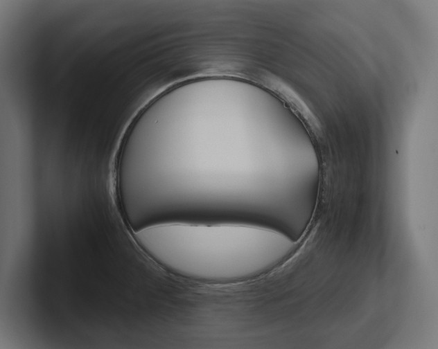 X0000102391284200808010927