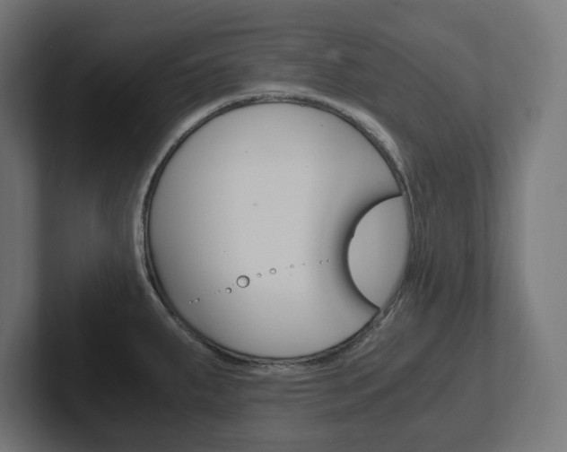 X0000102391287200808010927