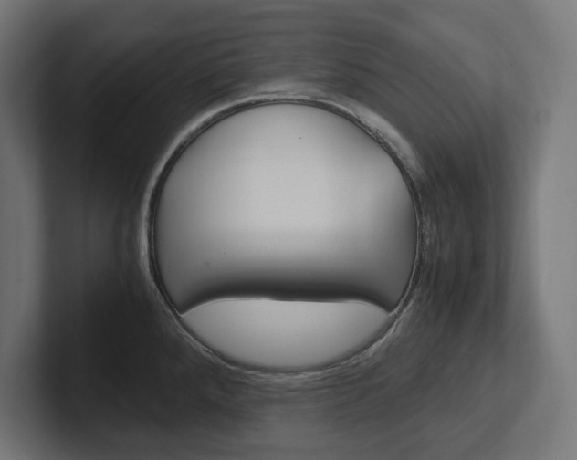 X0000102391288200808010927