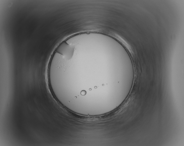 X0000102391291200808010927