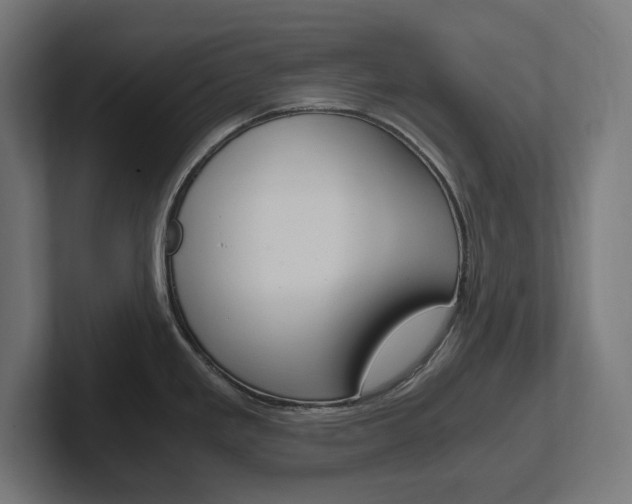 X0000102391293200808010927