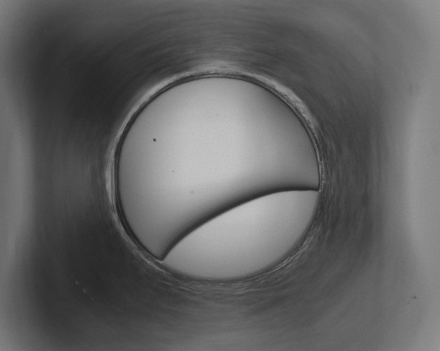 X0000102391295200808010927