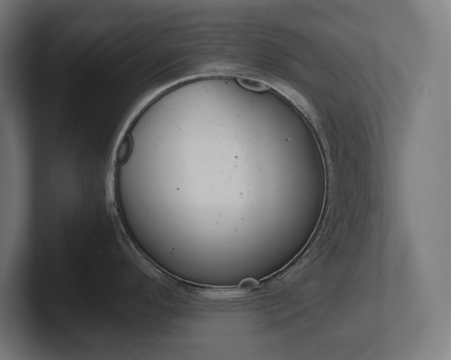 X0000102391296200808010927