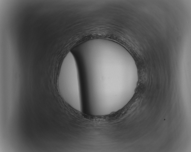 X0000102391297200808010926