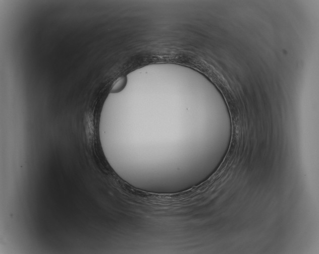 X0000102391298200808010926
