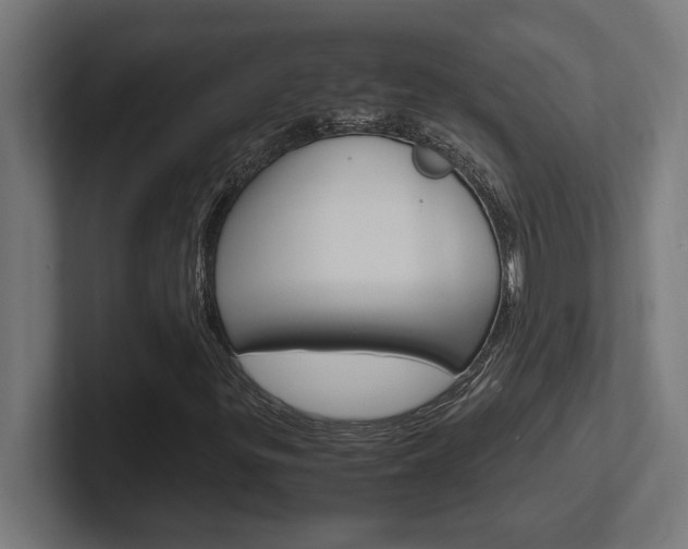 X0000102391299200808010926