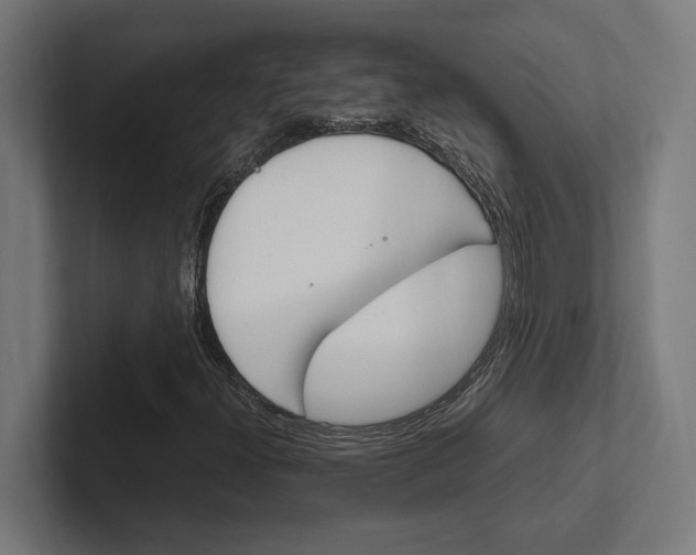 X0000102391300200808010926