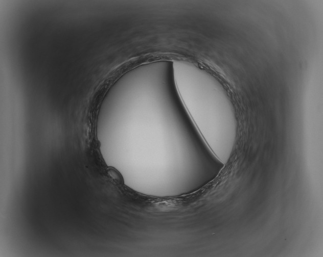 X0000102391303200808010926