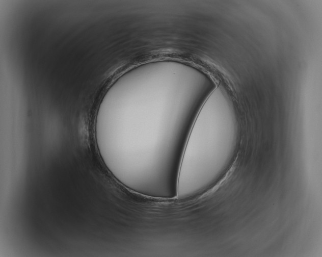 X0000102391305200808010926