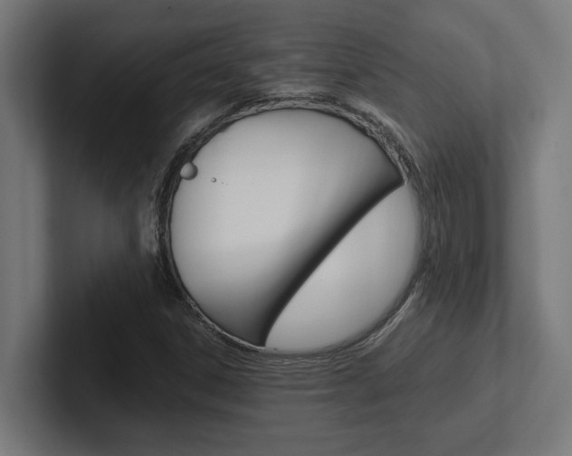 X0000102391306200808010926
