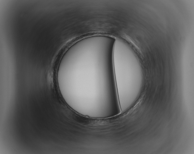 X0000102391307200808010926