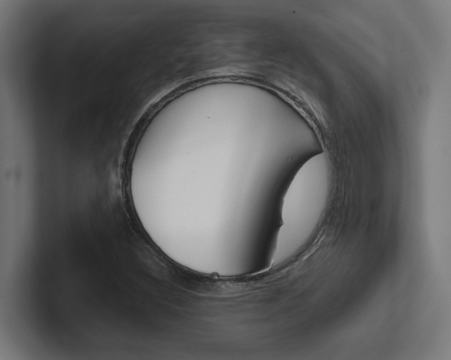 X0000102391308200808010926