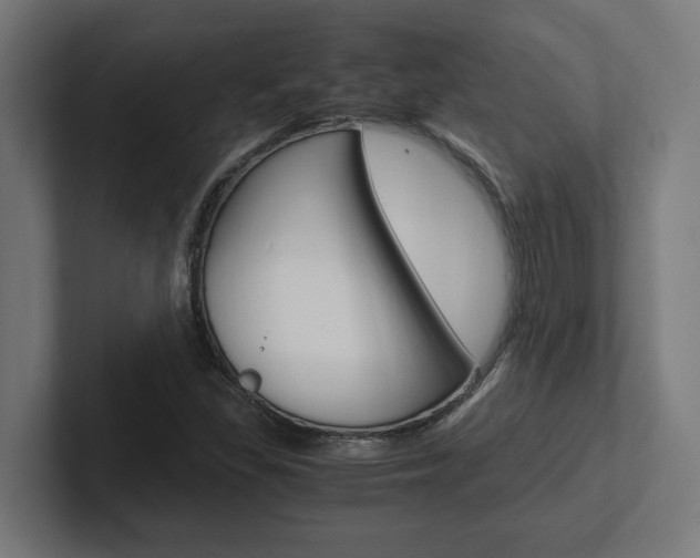 X0000102391309200808010926