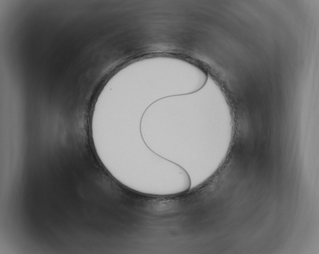 X0000102391314200808010926
