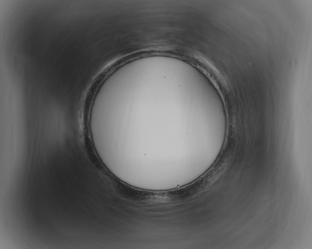 X0000102391315200808010926