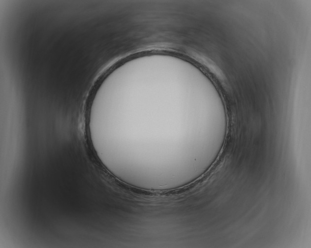 X0000102391316200808010926