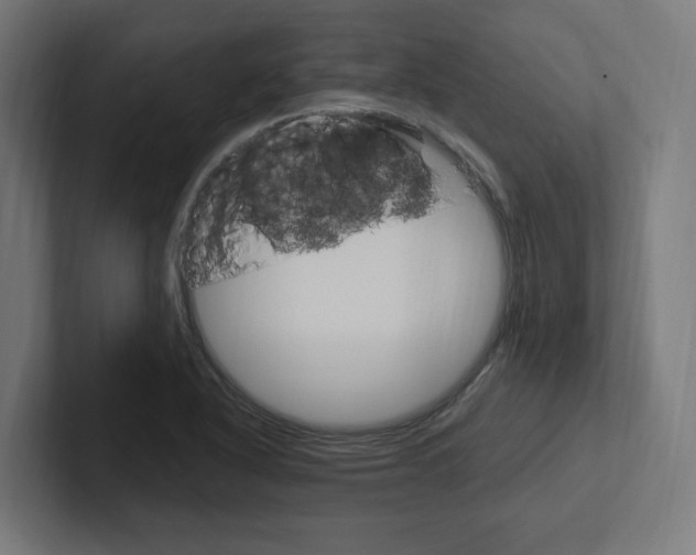 X0000102391318200808010926