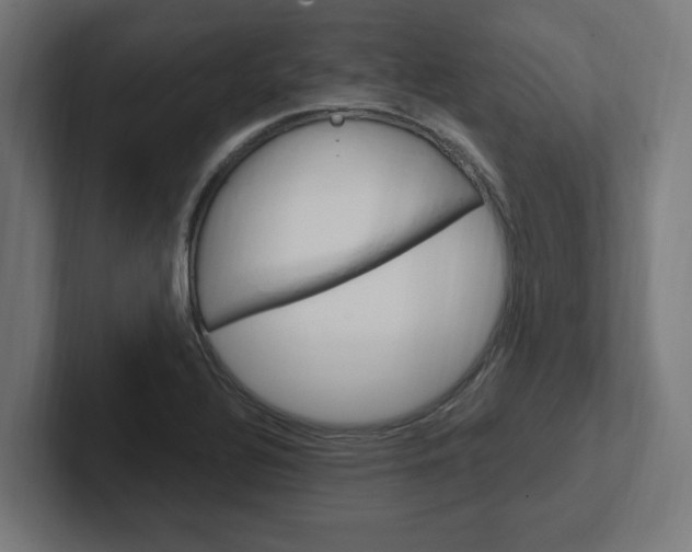 X0000102391320200808010926