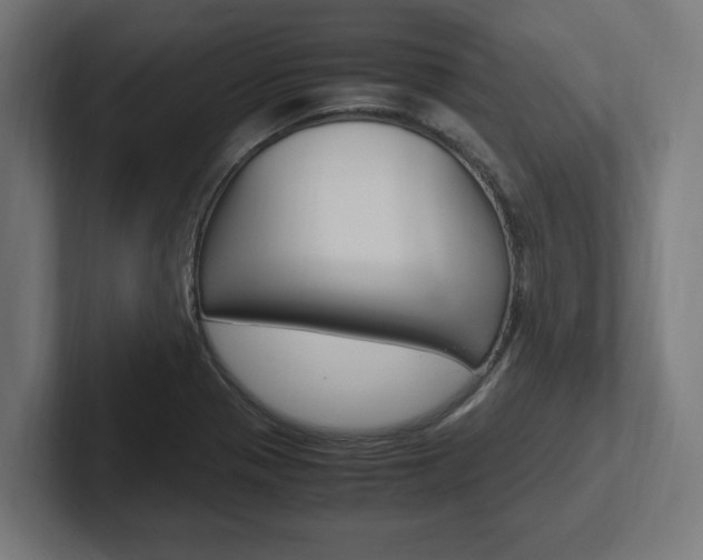 X0000102391321200808010926