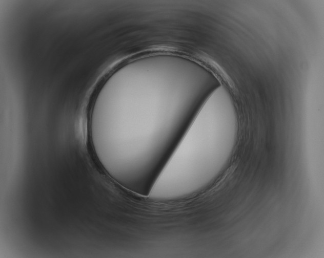X0000102391323200808010926
