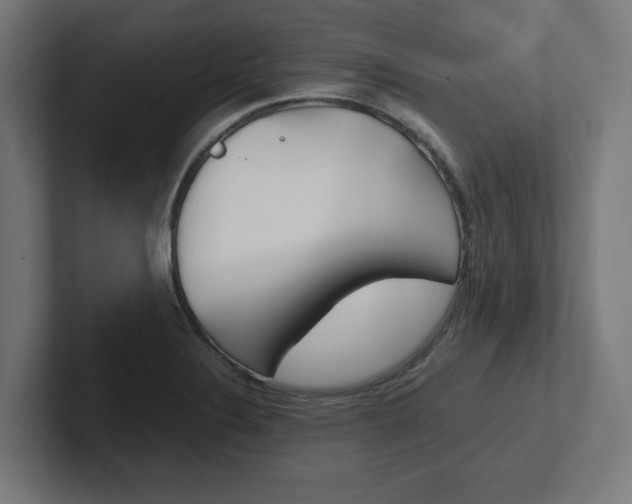 X0000102391324200808010926