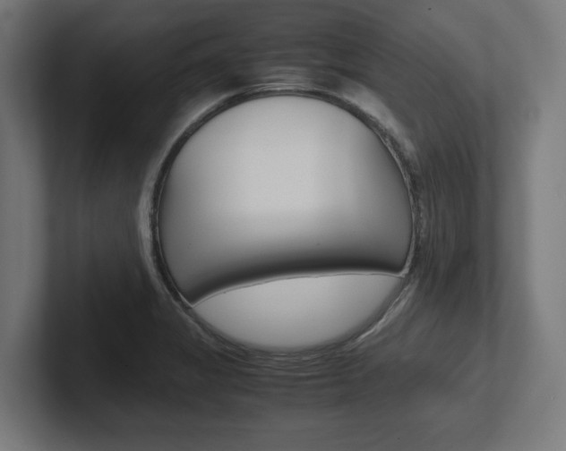 X0000102391325200808010926