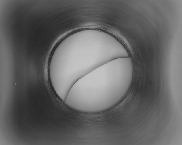 X0000102391328200808010927