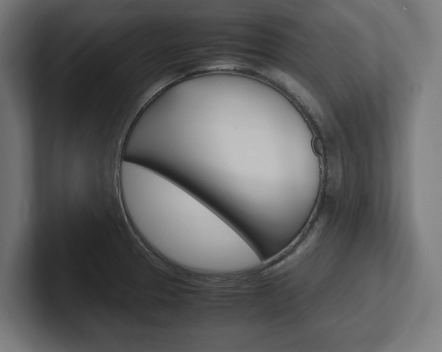 X0000102391329200808010927