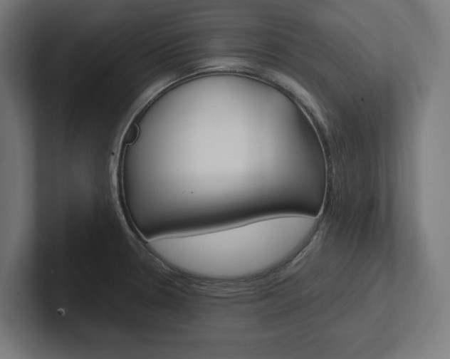 X0000102391330200808010927