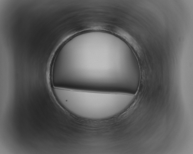 X0000102391331200808010927