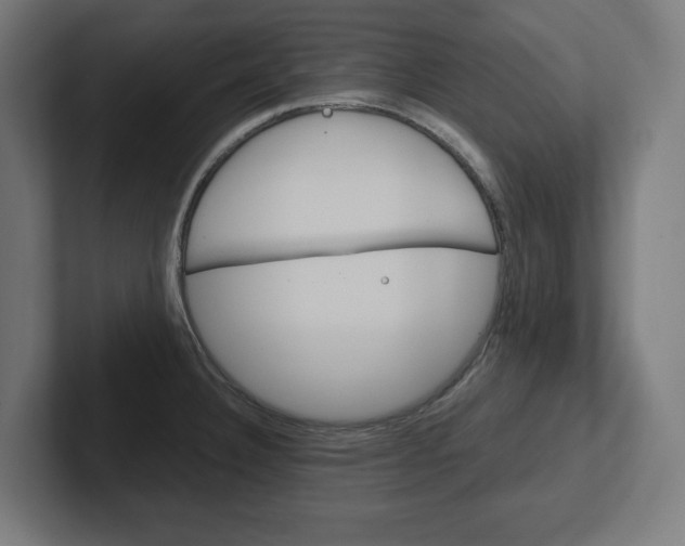 X0000102391332200808010927
