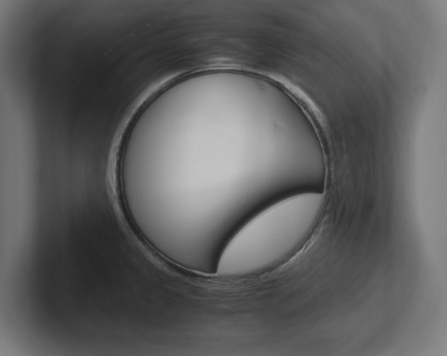 X0000102391333200808010927