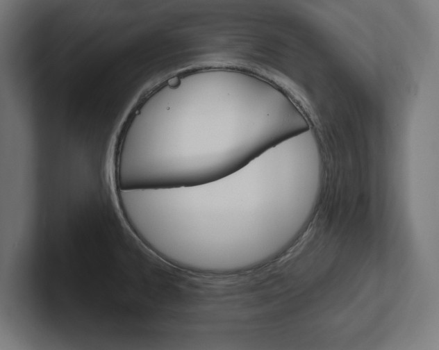 X0000102391334200808010927
