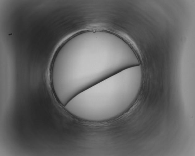 X0000102391336200808010927