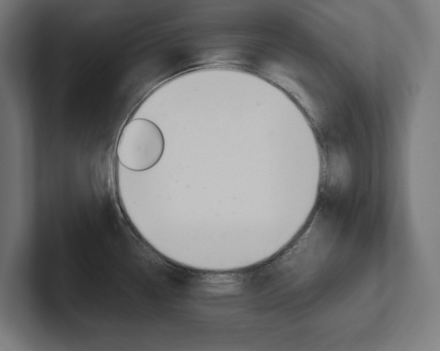 X0000102391338200808010927