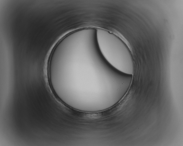 X0000102391339200808010927