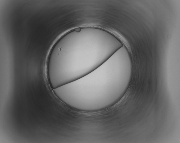 X0000102391340200808010927