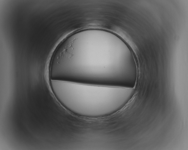 X0000102391341200808010927